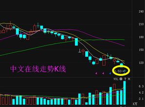 中文在線300364限售股解禁 能否助公司走出低谷，重振互聯(lián)網(wǎng)文化活動(dòng)？